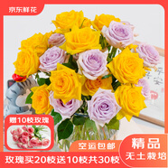 京東鮮花雙11云南昆明基地直發(fā)隨機(jī)色玫瑰買20枝送10枝家庭鮮花源頭直發(fā)