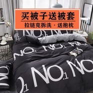 接運(yùn)貓冬被春秋被子帶被套拉鏈可拆洗學(xué)生宿舍單人加厚保暖雙人棉被春秋 N0.1【送抱枕】 180x220被套+8斤冬被 床單款 默認(rèn)