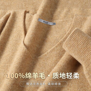 雪中飛（SNOWFLYING）100%綿羊毛女式羊毛衫秋冬舒適基礎款V領(lǐng)針織女衫線(xiàn)衫純色羊毛衫