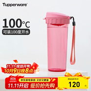 特百惠（Tupperware）茶韻500ML塑料杯男女士學(xué)生夏季運動(dòng)水杯子戶(hù)外便攜大容量 柔蜜粉