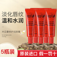 Lucas Papaw澳洲進(jìn)口木瓜膏蚊蟲(chóng)叮咬護臀去死皮潤唇膏滋潤保濕手霜萬(wàn)能木瓜霜 木瓜膏15g*5支