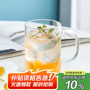 唯銘諾玻璃杯耐高溫泡茶杯子男士辦公室帶把喝水杯單層高硼硅玻璃杯