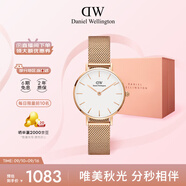 丹尼爾惠靈頓（DanielWellington）DW女士手表時尚經(jīng)典歐美表女28mm石英表七夕禮物 DW00100219