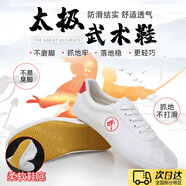 OLOEY武術(shù)練功鞋鞋帆布男女訓練輕便柔軟防滑廣場(chǎng)舞表演晨練功夫鞋 【白色】武術(shù)訓練專(zhuān)用鞋 43