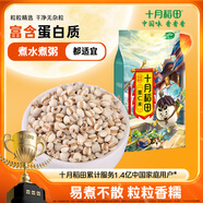 十月稻田 薏仁米 2斤 薏米仁 小粒薏米煮水煮粥 五谷雜糧粗糧 粥米 真空裝