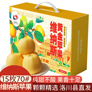 洛川蘋(píng)果陜西延安特產(chǎn)紅富士時(shí)令蘋(píng)果水果禮盒送蘋(píng)果生鮮新鮮脆甜整箱批發(fā) 黃金維納斯15個(gè)70mm【純甜不酸】