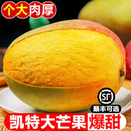 四川攀枝花凱特芒果10整箱斤應(yīng)當(dāng)季新鮮水果特大芒果青皮芒果 9斤 商超巨無(wú)霸[單果1.5斤左右]甄