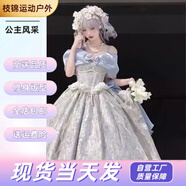 蕉京在逃公主裙成人甜美禮Lolita長(cháng)裙優(yōu)雅洛麗塔重工蓬蓬 藍色長(cháng)款【常規】 M