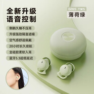 真無線線藍牙耳機降噪入耳式高端迷你睡眠久戴不痛超長續(xù)航2025新 【豪華版_薄荷綠】智能聲控+續(xù)航聽歌20小時+EN