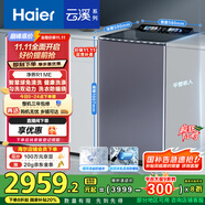 海爾（Haier）【小紅花套系】云溪波輪洗衣機全自動家用 10公斤后控  家電國家補貼 雙動力防纏繞MS100-BZ568H