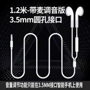 飚聲（BIAOSHENG）加長線有線入耳塞式音樂耳機電腦手機平板3.5mm圓孔接口通用帶麥圓頭平頭塞主播直播使用 1.2米-【3.5MM接口】-帶麥調(diào)音版 有線耳機