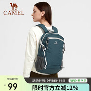 駱駝（CAMEL）【云影】雙肩包男背包防潑水旅行包輕量書包學(xué)生戶外徒步登山包