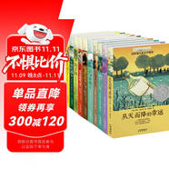 長青藤國際大獎小說第一二輯10冊十歲那年 兔子坡 閣樓里的 彩虹鴿 宇宙最后一本書等三四五六年級中小學必讀影響孩子一生的國際兒童文學獎經典名著課外閱讀