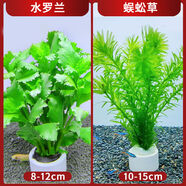 七葉島水草魚(yú)缸造景水草植物直接入缸魚(yú)缸水草造景養魚(yú)生態(tài)魚(yú)缸水草造景 【精品級】水羅蘭+蜈蚣草（送凈水環(huán)）