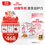 皇家幼貓 干濕搭配   K36 4.5KG+ KJP 85G*12