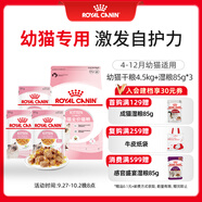 皇家貓糧?幼貓貓糧?干濕搭配?K36 4.5kg+啫喱肉凍KJP 85G*3