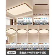 花樂(lè)集木紋中古風(fēng)客廳吸頂燈法式極簡(jiǎn)大廳主燈2025新款全屋燈具套餐 全屋米家【包安裝】四室兩廳_套餐M