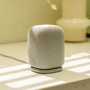索尼（SONY） SRS-LS1 LinkBuds Speaker便攜式無線藍(lán)牙音響電腦音箱 灰色 標(biāo)配