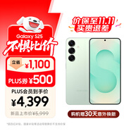 三星【價保至11.11】S25 256GB國家補貼 超擬人AI助理 驍龍8至尊版 AI拍照 翻譯手機 游戲手機 清霜綠