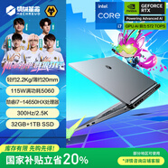 機(jī)械革命【國家補(bǔ)貼20%】極光X 潮玩版 酷睿i7HX 游戲本筆記本電腦(i7-14650HX 32G 1T RTX5060 300Hz 灰)