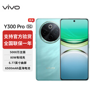 vivo Y300 Pro 續(xù)航滅霸 鈦強大 6500mAh超薄藍海電池 全等深微四曲屏 SGS五星抗摔認證 AI 拍照 手機 金鑲玉 8GB+256GB 官方標配