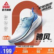 匹克態(tài)極騁風(fēng)1.0跑步鞋男鞋輕便減震透氣中考體測運(yùn)動鞋子男DH410037