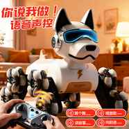 科學(xué)怪獸遙控汽車(chē)機器狗兒童玩具男孩變形機器人3-6-10歲生日禮物