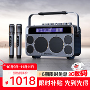 山水（SANSUI）Z7戶外K歌專用  動態(tài)歌詞顯示廣場舞音響大音量立體聲大功率重低音混響直播雙麥克風樂器音箱
