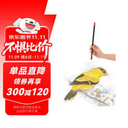 新編養(yǎng)心齋描摹畫譜`工筆花鳥2