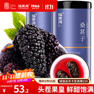 福東海 桑葚子500克（250g*2瓶）【大果皇】精選無沙桑椹即食泡水泡酒 