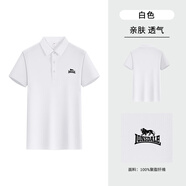 龍獅戴爾【經(jīng)典款】龍獅戴爾戶外運動POLO衫男新品基礎(chǔ)商務(wù)翻領(lǐng)短袖T恤衫 【男款】白色-基礎(chǔ)款 2XL