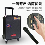 浪庭8寸戶(hù)外藍牙拉桿音箱話(huà)筒大功率廣場(chǎng)舞低音炮K歌叫賣(mài)音響 8寸加強藍牙版+無(wú)線(xiàn)_線(xiàn)話(huà)筒