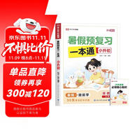 暑假預(yù)復(fù)習(xí)一本通小升初 小學(xué)六年級(jí)升初中語文數(shù)學(xué)英語三合一30天暑假打卡計(jì)劃暑假作業(yè)銜接教材專項(xiàng)訓(xùn)練習(xí)題冊(cè) 贈(zèng)28天晨讀必背核心知識(shí)（全2冊(cè)）