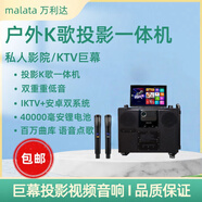 萬利達B12家庭ktv音響低音炮套裝戶外室內廣場舞音箱帶屏幕投影麥克風高保真K歌卡拉ok點歌機一體機A15 T26（雙低音炮+內置投影）+雙話筒
