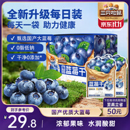 三只松鼠每日藍(lán)莓干256g/16包 無添加水果干果脯小包裝兒童老人辦公室零食