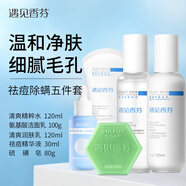 遇見(jiàn)香芬氨基酸洗面奶 水乳套裝控油學(xué)生油皮清潔面部補水二裂酵母潔面乳 【清爽款】除螨護膚五件套