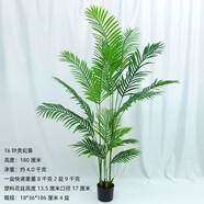 語森憶風綠色植物盆景假綠植盆栽落地帶盆擺件桌擺室內(nèi)客廳裝飾 180厘米16葉貴妃葵