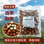 京鮮生 西雙版納 有機鮮夏威夷果(鮮果非干貨)凈2斤奶香 0添加源頭直發(fā)