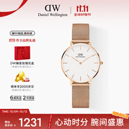 丹尼爾惠靈頓（DanielWellington）DW手表女表 簡約女士手表 時尚歐美表送女友生日禮物DW00100163