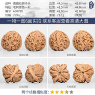 文玩核桃精品南疆石核桃一物一圖獅子頭趙喜滿(mǎn)逐鹿一代高炮凹底 A68798老樹(shù)原色南疆石獅子頭44mm