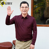 寶財羊中老年爸爸裝長袖T恤男翻領(lǐng)春秋季商務(wù)休閑寬松條紋polo衫上衣服
