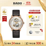 雷達（RADO）瑞士手表晶璨系列男士機械表鏤空表盤商務百搭