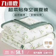 九洲鹿A類抗菌可機洗纖維被子被芯 空調(diào)四季被150x200cm森系小清新