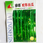 笑春風(fēng)巨型一號特長(cháng)絲瓜種子種孑超長(cháng)高產(chǎn)巨型四季種籽春季夏季秋季盆栽 蛇形絲瓜10克原裝2包