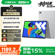 聯(lián)想小新PadPro12.7 2025款平板電腦 2.9K高刷全面屏 娛樂(lè )學(xué)習 10200mAh 8+128G霜雪銀