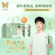 香飄飄【孫穎莎同款】原葉現(xiàn)泡低GI茉莉口味輕乳茶6杯禮盒裝421.2g