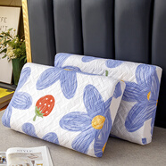 名享優(yōu)品防水防螨乳膠枕套家用防頭油口水枕頭套專(zhuān)用記憶枕芯內膽保護套罩 情調藍 【防水乳枕套裝】 1支 30cmX50cm