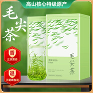 貢苑綠茶2025新茶 特級毛尖茶葉250g 明前嫩芽正宗栗香信陽(yáng)口感自己喝