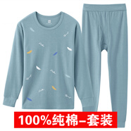 廷毅秋衣秋褲套裝男100%純棉保暖內衣男秋冬棉毛衫保暖衣圓領(lǐng)保暖套裝 淺藍飛羽 2XL （180）