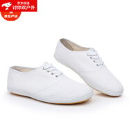 LZJV小白鞋男童室內(nèi)鞋兒童帆布鞋女童白球鞋體操鞋白網(wǎng)鞋武術(shù)鞋男女鞋 白色系帶 22 碼【16】內(nèi)徑約15.5CM